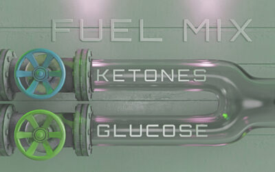 Blood Sugar and Ketones: Understand Your Body’s Energy Sources