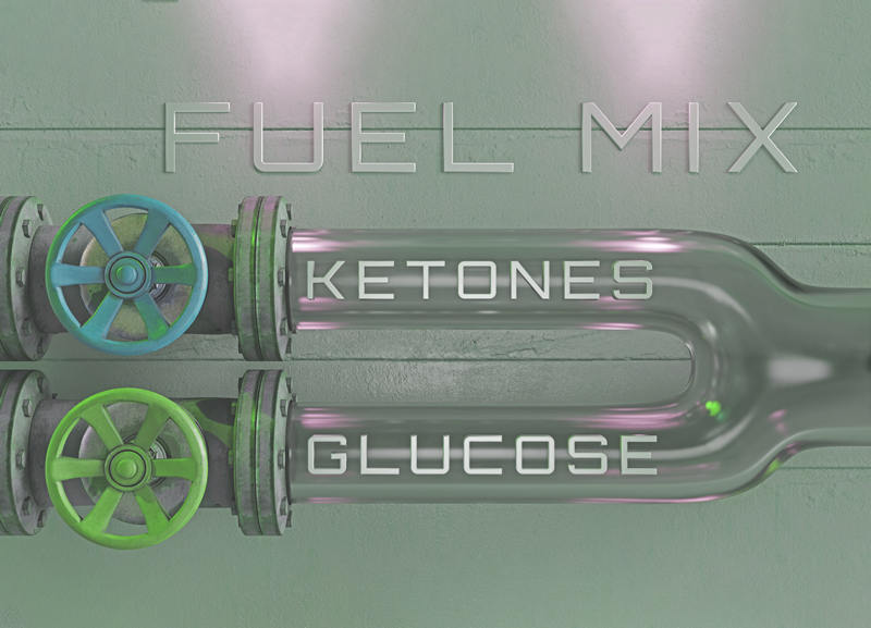 Blood Sugar and Ketones: Understand Your Body’s Energy Sources